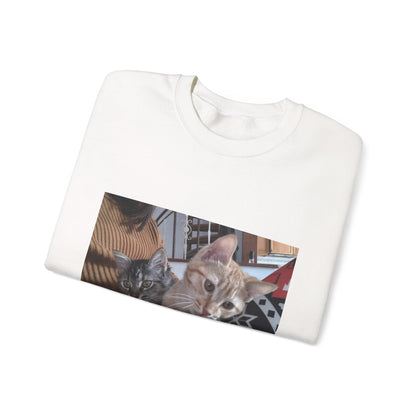 Cat Photo Crewneck Sweatshirt – Cozy Kitten Print Pullover